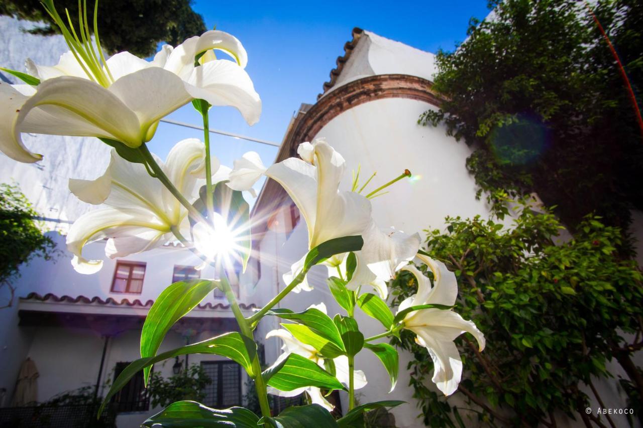 Casa Del Siglo XVII Villa Севиля Екстериор снимка